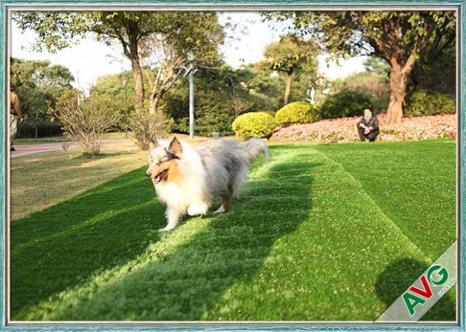 Schutzträger-Haustier-künstliches Rasen-Eden Grass Recycled Synthetic Pet-Gras SBR-Latex-/PU 0