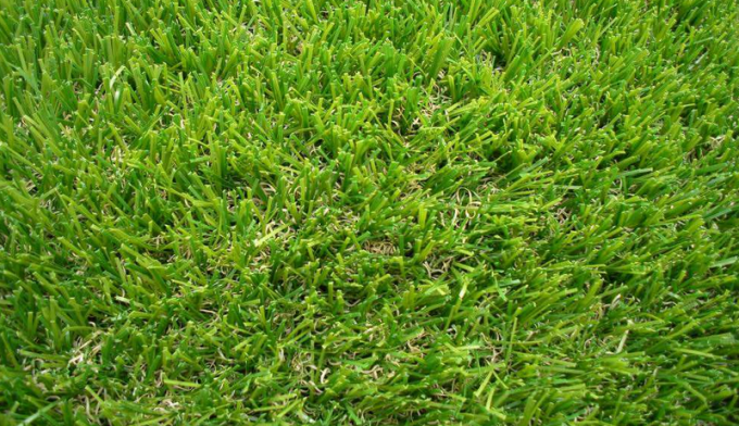 neueste Unternehmensnachrichten über Vergleich zwischen synthetischem Fußballgras und wirklichem Gras  2