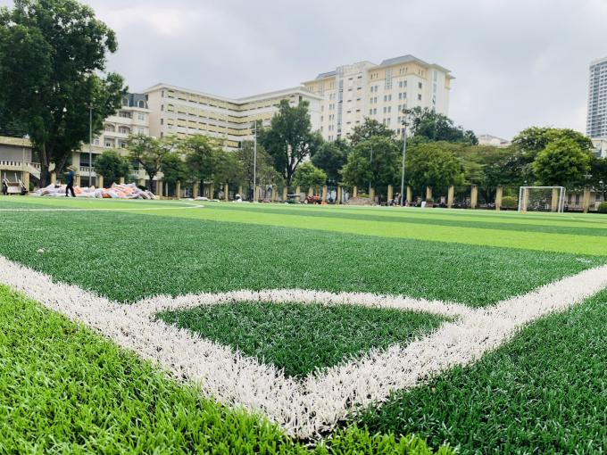Grüner Rasen-künstlicher Gras-synthetischer Rasen-Naturrasen-künstlicher Gras-Fußball 0