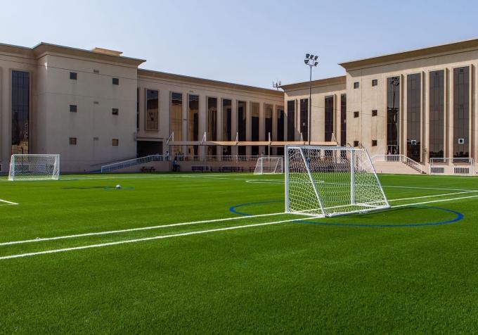 35mm gefälschtes Gras-künstlicher Rasen für Fußball-Fußball-Spielplatz 1