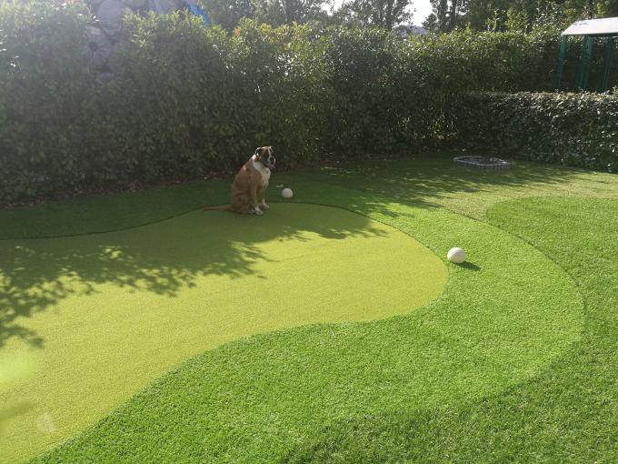 Synthetischer Übungsgrün-Golf-Rasen bedecken künstliche 13m Höhe Gateball mit Gras 0