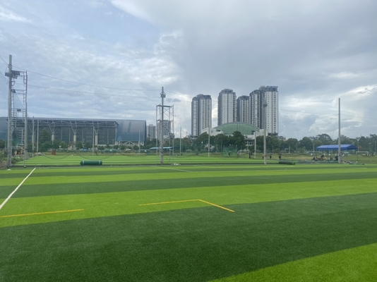 CHINA 55mm Diamond Shape Football Artificial Turf Fälschungs-Fußball-Gras fournisseur