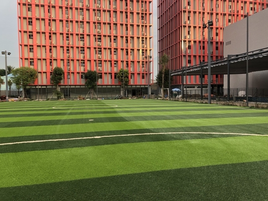 CHINA gute Steifheit 55mm Chemiefasergewebe-künstliche Fußball-Gras Detex 11000 fournisseur