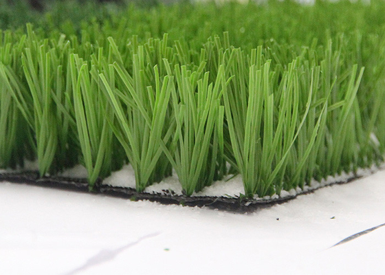 CHINA Monofil PET spinnen grünen künstlichen Grashersteller For Sports, Fußballplatz-künstlicher Rasen fournisseur