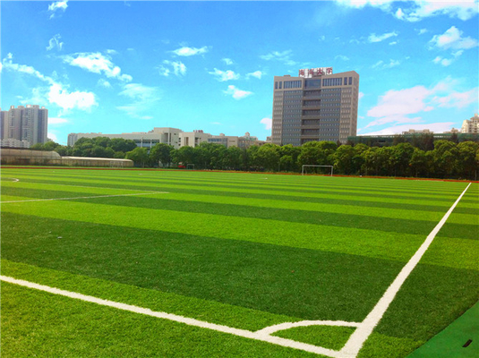 CHINA Berufsspielplatz-synthetisches Gras, Spielplatz-synthetischer Rasen FIFA-Standard fournisseur