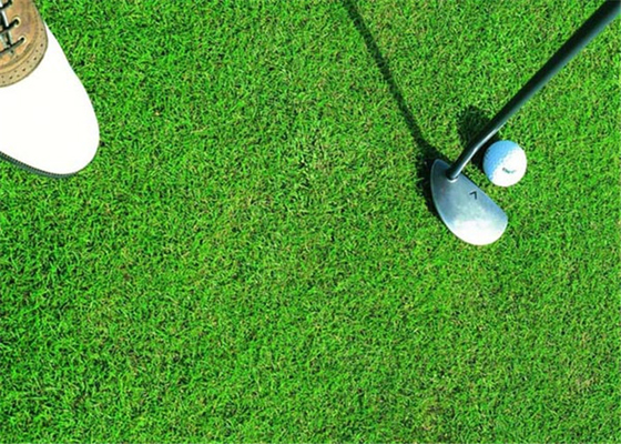 CHINA Gesundes Golf-künstliches Gras, synthetische Golf-Rasen-langes Lebens-Erwartung fournisseur