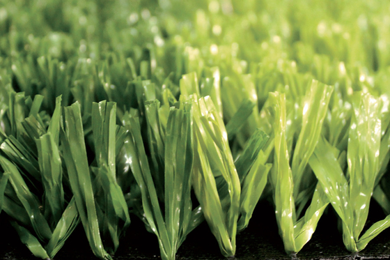 CHINA Grün-Fußball-künstlicher Rasen AVG-hoher Qualität, Fußball-synthetischer Gras-Teppich fournisseur