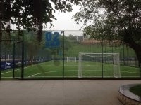 CHINA Künstlicher Rasen mit hoher Dichte für Fußballplätze, Fußball-synthetisches Gras fournisseur