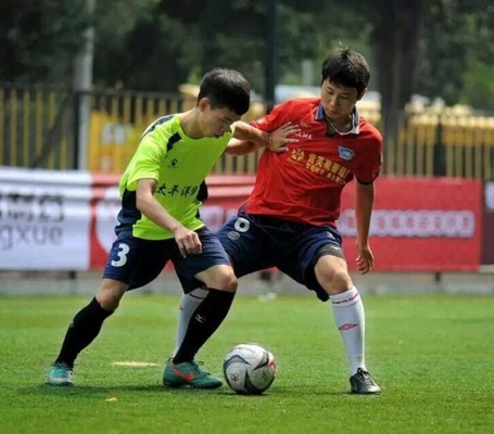 CHINA Professioneller dauerhafter Fußball-künstlicher Rasen 5/8 Zoll Messgerät-freie Probe fournisseur
