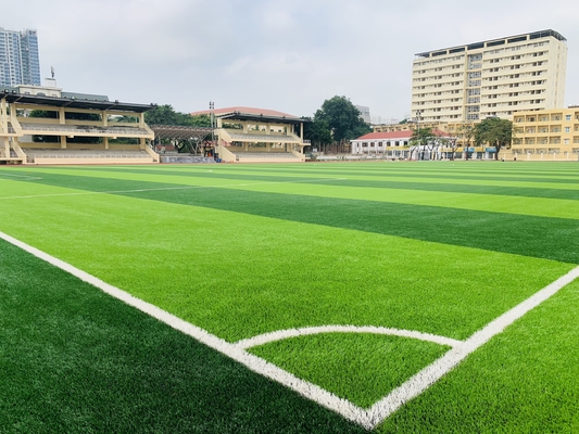 CHINA Künstliches Fußball-Gras-synthetischer Rasen für Fußballplatz-Boden-künstliches Gras fournisseur