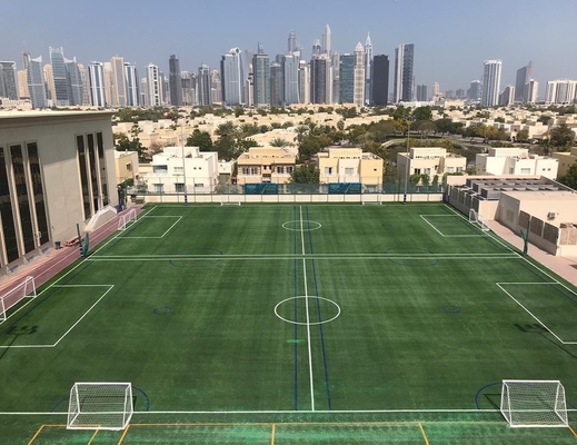 CHINA Von der Fabrik gebilligtes 30mm künstliches Gras des künstlichen Rasens für Fußballstadion fournisseur