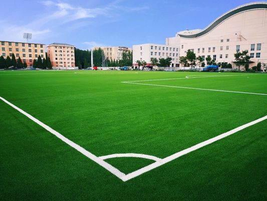 CHINA Fußball-Gras-künstliches Gras für Fußball-Fußball-Gras-Fußball fournisseur