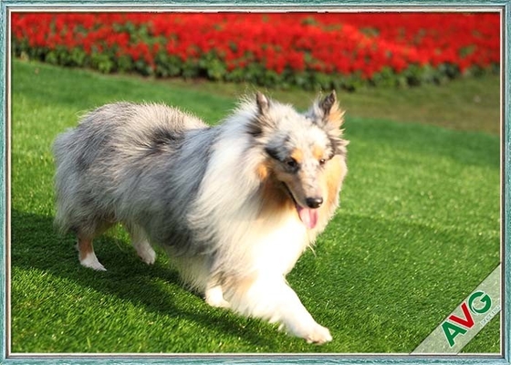 CHINA Beständiges Hundeuvhaustier-künstlicher Rasen/Chemiefasergewebe bedecken freundliche Installation Eco mit Gras fournisseur
