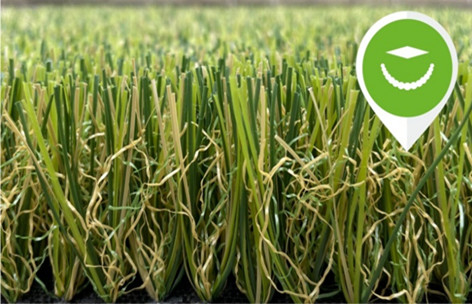 CHINA Einzelfaden-gelocktes Garn-künstliches Gras-im Freien gesunder landschaftlich gestaltender falscher Rasen fournisseur