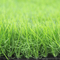 50mm C Form-Garten-künstliche Gras-Teppiche 3/8&quot; Latex-Beschichtung fournisseur