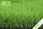 Mat Home Artificial Grass landschaftlich gestalten 20mm pp. + Nettoschutzträger fournisseur