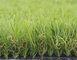 50mm natürliche synthetische Rasen-Rasen-Garten-Gras-Haut freundlich fournisseur
