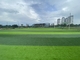 60mm Fußballplatz-künstlicher Gras-Teppich umweltfreundlich fournisseur