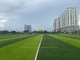 Des Diamant-100 Höhe Fußballplatz-künstliche des Gras-45m fournisseur