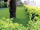 Recyclebare 40mm Höhe des Hotel-Gesundheits-grüne landschaftlich gestaltende künstlichen Gras- fournisseur
