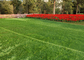 C formen landschaftlich gestaltendes künstliches Rasen-Fälschungs-Gras im Freien mit natürlichem Auftritt fournisseur