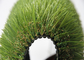 Professionelle wirkliche schauende 30MM künstliches Gras-Teppich-Latex-Beschichtung im Freien fournisseur
