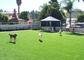Modernes Hintergrund-Ausgangshaustier-künstlicher Rasen, grünes synthetisches Gras für das Haustier-Spielen fournisseur