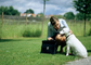 Gras-Teppich-Haustier-künstlicher Rasen der Stapel-Höhen-35MM gefälschtes für Hunde-/Katzen-das Spielen fournisseur