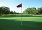 Tennis-/Golf-künstliches Gras-synthetische Rasen-UV-Beständigkeit des langlebigen Gutes 13mm fournisseur