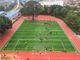 Berufsspielplatz-synthetisches Gras, Spielplatz-synthetischer Rasen FIFA-Standard fournisseur