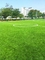 Synthetisches Gras im Freien für Spielplätze, künstliches Spielplatz-Gras PET Material fournisseur