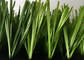 Innenspielplatz-Kunststoff-Folie-Gras-Teppich-Rolle im Freien mit hoher Elastizität fournisseur
