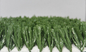 Fußball-künstlicher Rasen-falsche Gras-Rasen-Latex-Beschichtung der Stapel-Höhen-50MM fournisseur