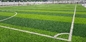 Grasfußball-Fälschungsrasen des synthetischen Rasens 65mm Fußballs künstlicher fournisseur