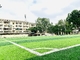 65mm Cesped künstlicher Gras-Fußball-Rasen Synthet-Rasen-Fußball-synthetisches Teppich-Gras fournisseur