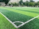 Fußball-Gras-Chemiefasergewebe bedecken 50mm künstliches Fußball-Gras-künstliches Rasen-Gras mit Gras fournisseur