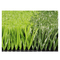 Fußball-künstlicher Rasen-Gras-Fußball-künstlicher Gras-Sport, der für Großhandel ausbreitet fournisseur