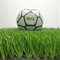 Synthetischer Rasen AVG für Fußball-Gras-Wetter-Festigkeits-künstlichen Gras-Rasen fournisseur