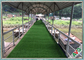 Dauerhafter städtischer grünender synthetischer Rasen für künstliche Rasen mit billigem Preis fournisseur