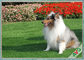Entfernbares umweltfreundliches synthetisches Haustier-künstlicher Rasen für Haustier Cat Carpet/natürlicher Garten fournisseur