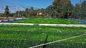 50mm 60mm Rasen-synthetisches Gras für Fußball-Stadion fournisseur