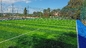 Fußball-künstlicher Gras-Rasen-Fußball-synthetisches Rasen-Gras des Fachmann-60mm Grama fournisseur