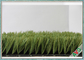 Fußballplatz-künstliches Rasenfläche-Grün + apfelgrüner PET Einzelfaden fournisseur