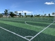 Höhe 13000Detex des Rasen-Teppich-Fußball-künstliche Rasen-40mm fournisseur