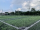 Einzelfaden-Fußball-künstliche Rasen-Rollenbreite 2.0m 30N fournisseur