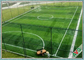 Einfacher Wartungs-Fußball-künstlicher Rasen, künstliche Gras-Fußballplätze fournisseur