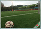Profifußball-künstlicher Rasen 12 Jahre garantierte Fußball-künstlichem Gras fournisseur