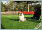 Dauerhafter grüner Haustier-künstlicher Rasen-im Freien synthetischer Gras-Teppich für die Landschaftsgestaltung fournisseur