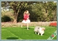 Schutzträger-Haustier-künstliches Rasen-Eden Grass Recycled Synthetic Pet-Gras SBR-Latex-/PU fournisseur