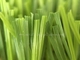 Einzelfaden PET + gelocktes künstliches Gras-im Freien pralle Oberfläche pp. 12400Dtex fournisseur
